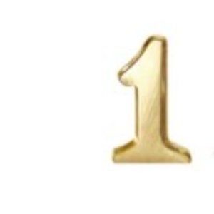 Alex Woo 14 KT yellow gold number 1 pendant and 16" 14kt chain (new with tag)